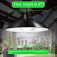 Solar light